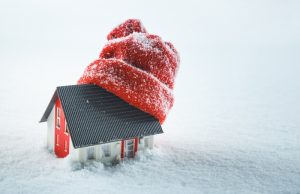house-wearing-a-hat-in-the-snow